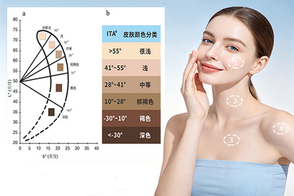 ITA值肤色等级